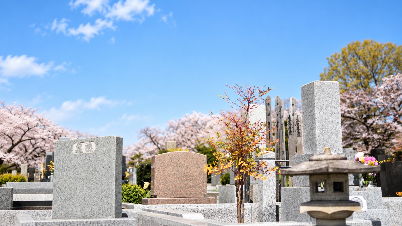 色合いの異なる墓石と春の花がある霊園