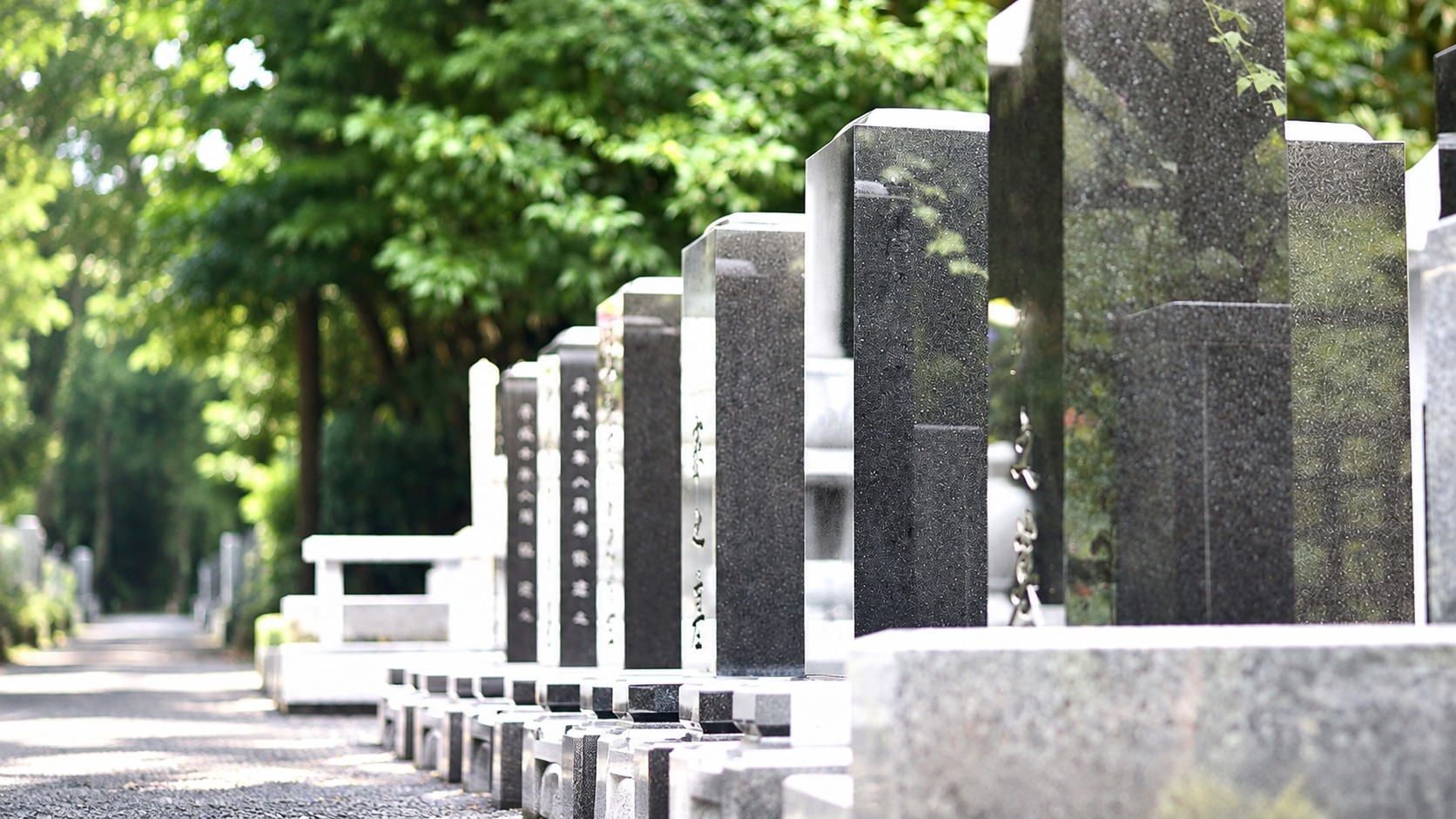 木漏れ日の中に墓石が並ぶ霊園の通路