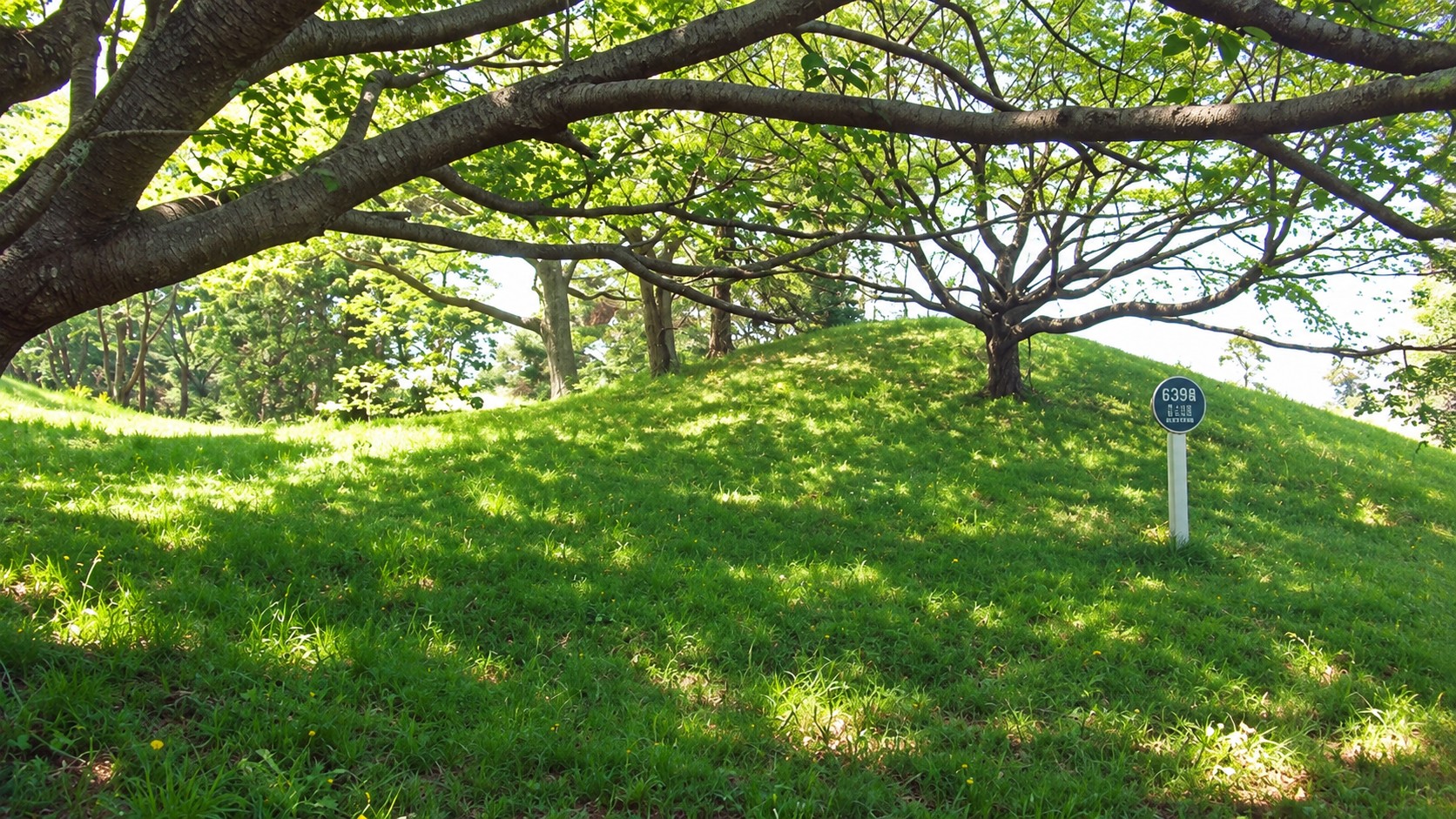 木々の緑に包まれた庭園型墓地の芝生と植栽
