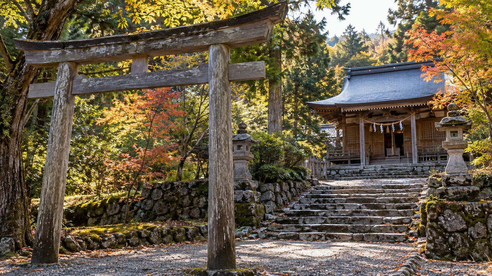 木の鳥居越しに石段と社殿を望む秋の神社